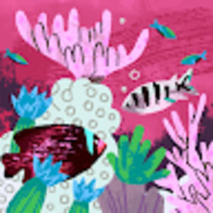 Meet your Posher, Robin